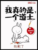我真的是正经的道士小说