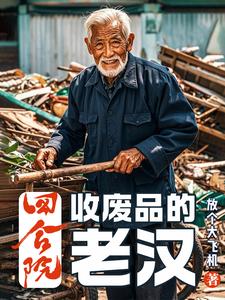 四合院捡破烂小说