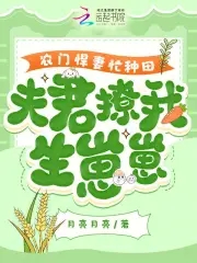 农门悍妻忙种田小说